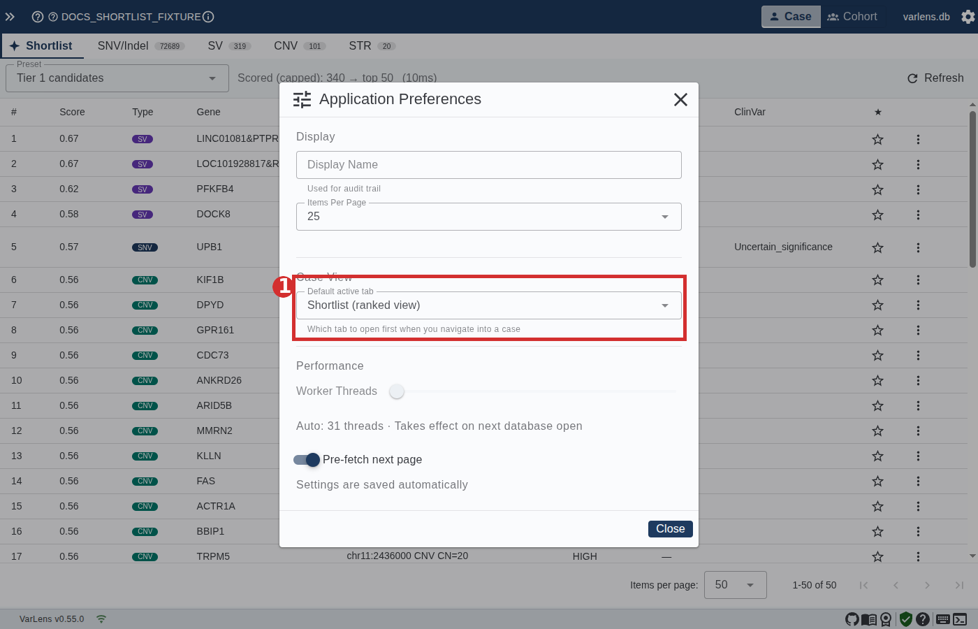 Application Preferences dialog with the Case View section highlighted